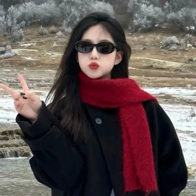哈兰·科本的庇护所